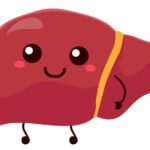 Happy liver character waving
