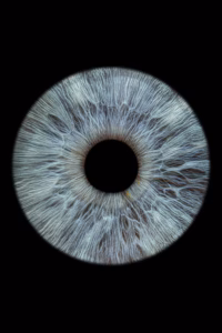 close-up of an eye